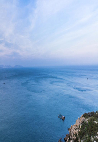 海水淡化消泡剂